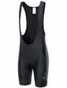 Przewalski Men's 3D Padded Bib Shorts