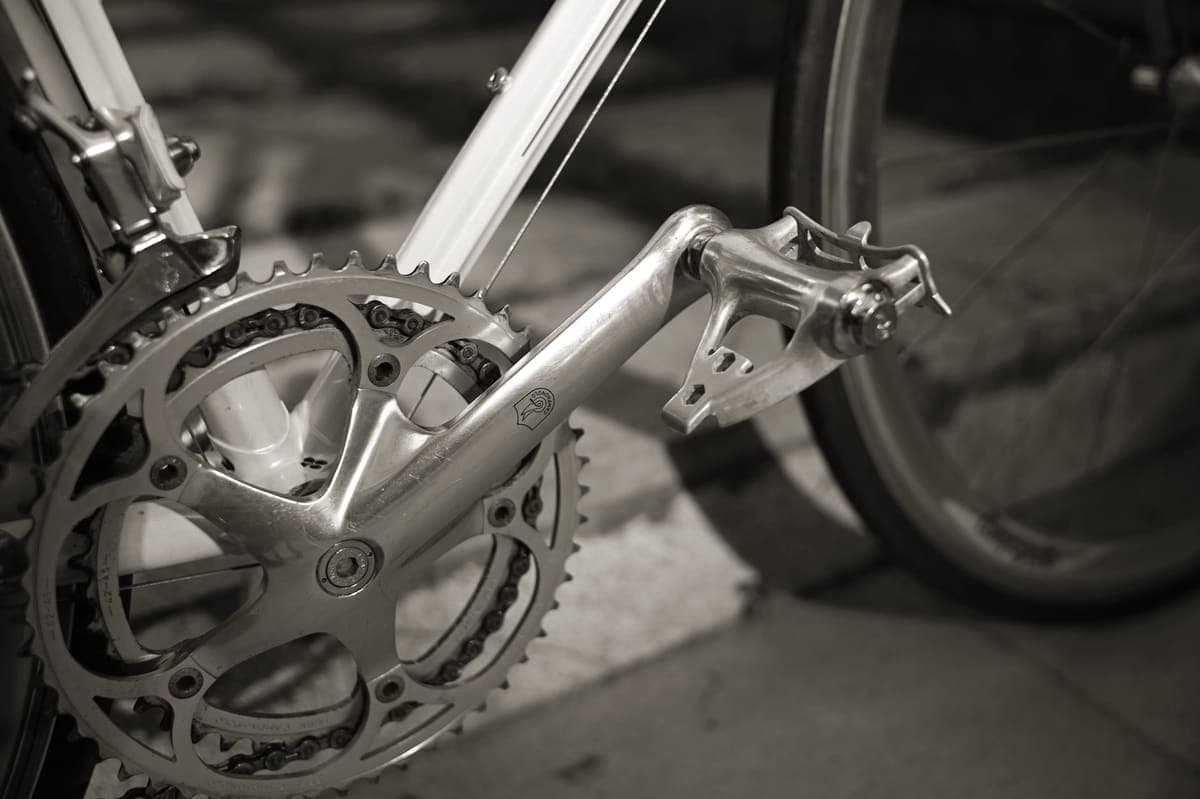 Close detail of a bicycle chainring and crank arm