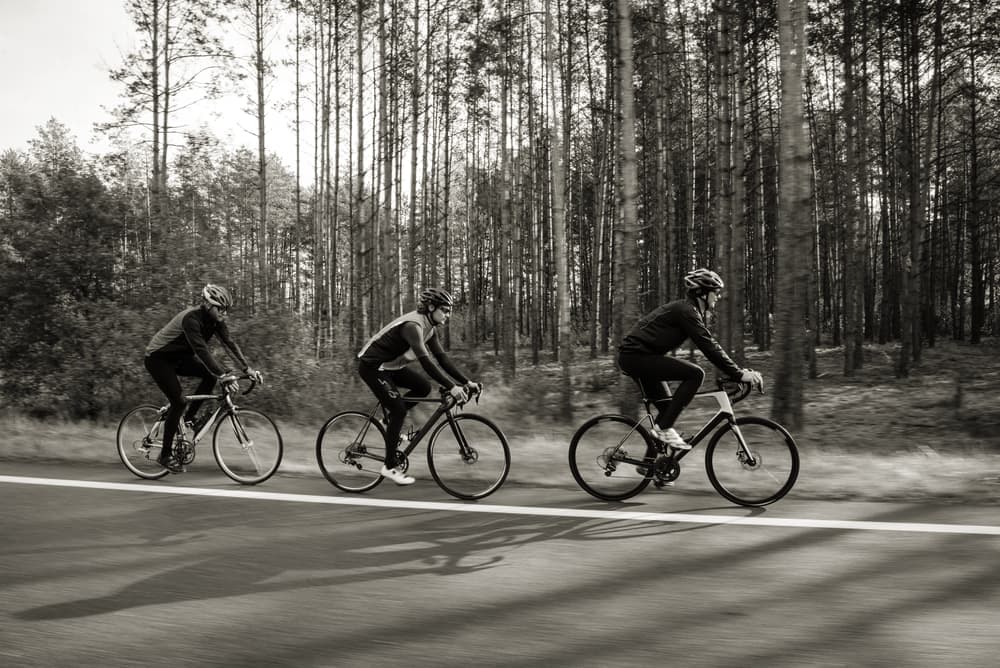 A group of riders on road bikes along a tree-lined road