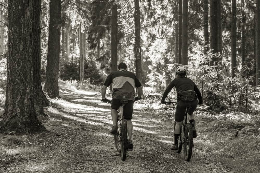 A mountain bike on a wooded singletrack trail